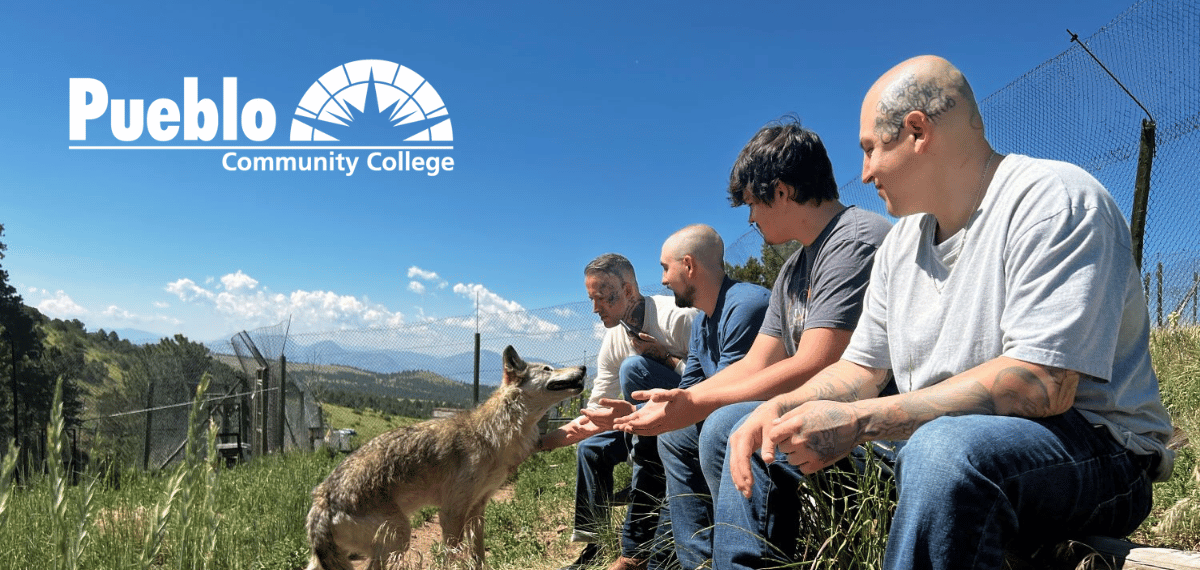 Pueblo Community College welding students meet Cephira, a wolf who lives at the Mission: Wolf sanctuary in Westcliffe, Colorado.