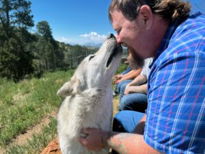 A white wolf kisses the nose a PCC instructor